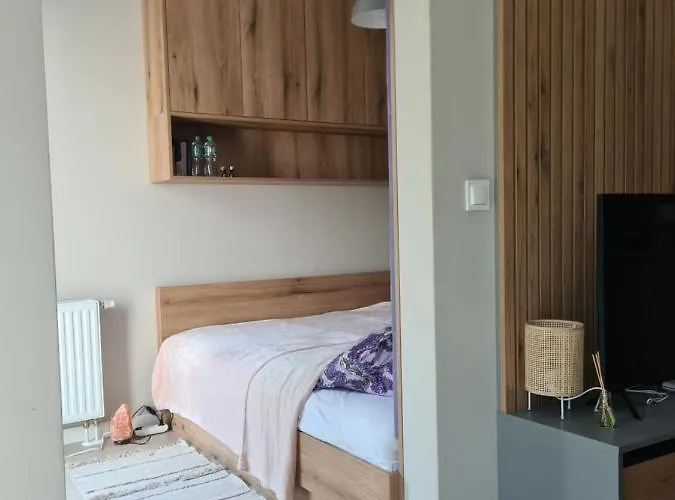 Mostowa 23 Bruno Apartment, Self Check-in 24h, Free Parking, Air-conditioning